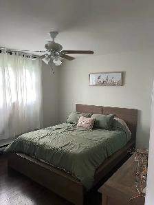 Private, clean & cozy 2BDR in law-suite for rent - Photo 7