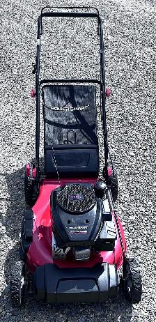 POWERSMART REAR BAG GAS LAWNMOWER - Photo 3