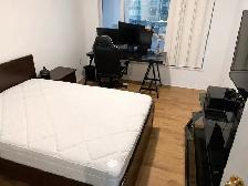 3 Bed 2 Bath Furnished Condo | step to U of T - Photo 3