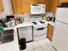 3 Bed 2 Bath Furnished Condo | step to U of T - Photo 5