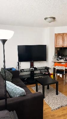 3 Bed 2 Bath Furnished Condo | step to U of T - Photo 6