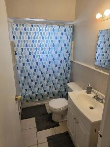1 Bedroom Apartment for Remt in Hamilton close to Escarpment - Photo 8