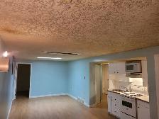 Open Concept 2-bedroom Basement suite- Availabe Immediately