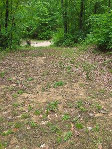 1.5 LOT FOR SALE  AT THE LAKE - Photo 8