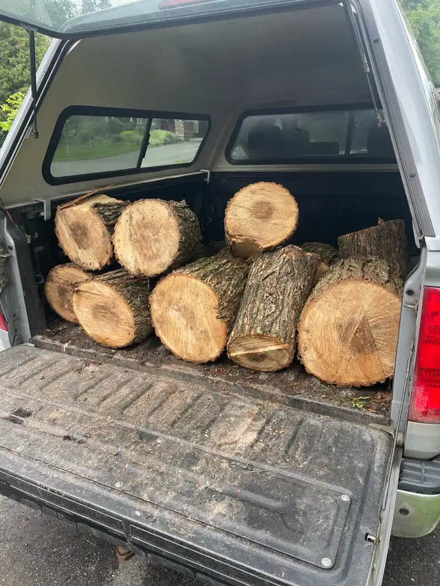 Fireeood For Sale