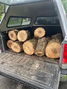 Fireeood For Sale