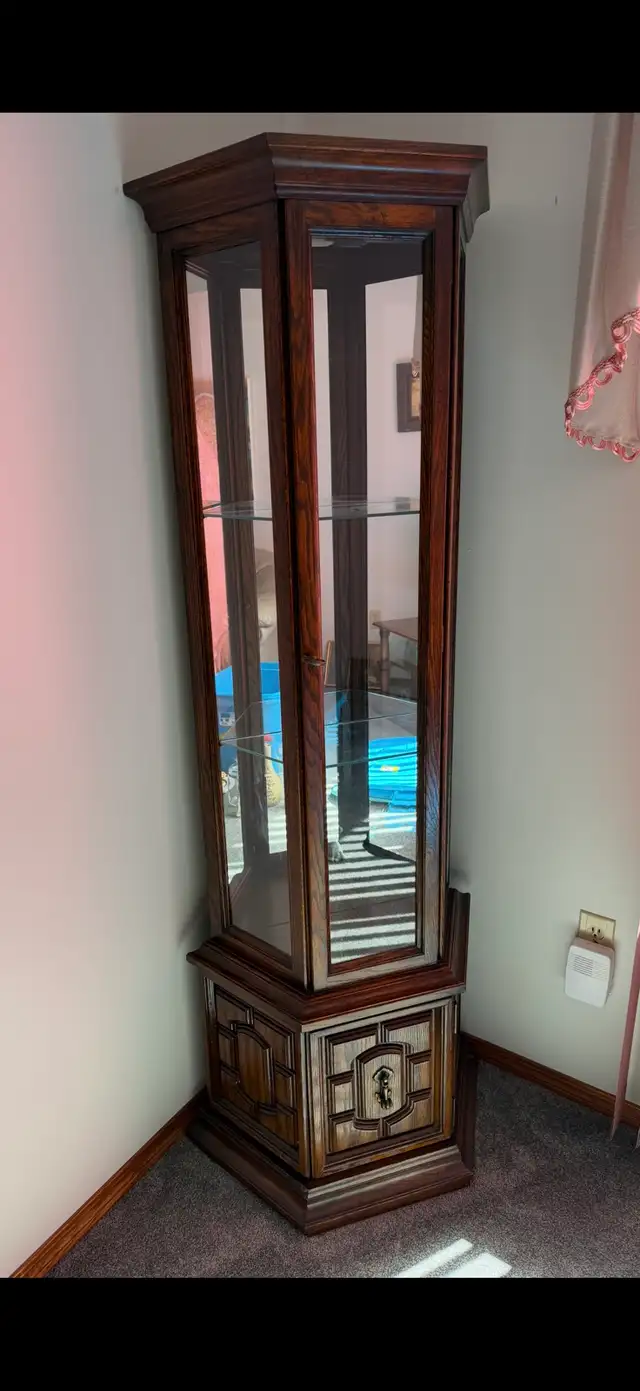 display cabinet $50