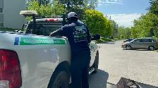 Easy Junk Removal London | Furniture, Appliances & Junk Removal - Photo 3