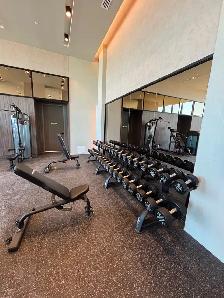 Brand New Luxury Studio Condo | Pool, Gym, Steam Rm | Parking - Photo 10