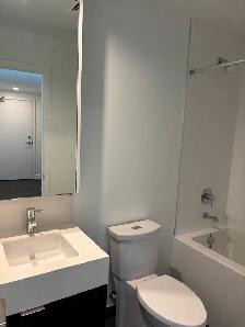 Brand New Luxury Studio Condo | Pool, Gym, Steam Rm | Parking - Photo 14