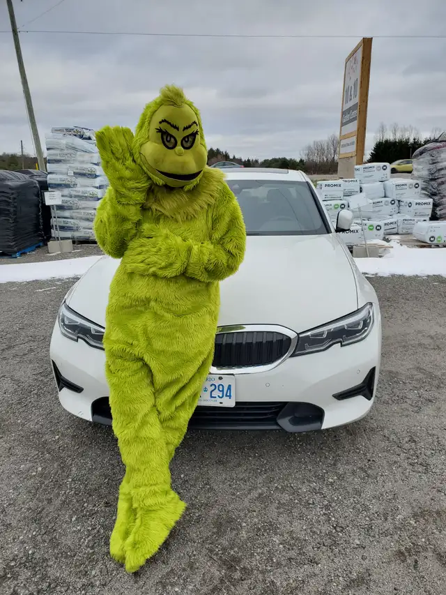 Professional Hilarious Grinch for Hire