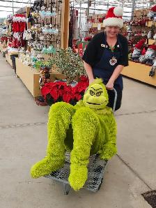 Professional Hilarious Grinch for Hire - Photo 2