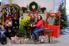 Professional Hilarious Grinch for Hire - Photo 3