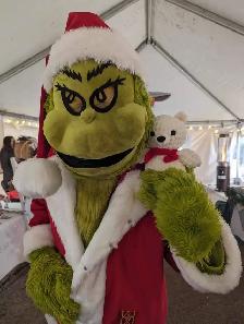Professional Hilarious Grinch for Hire - Photo 4