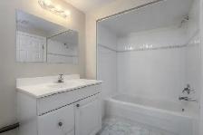 Spacious 2 LARGE BEDROOMS Basement Apt for Rent - MAVIS/EGLINTON - Photo 9
