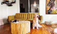 A family home for your furry baby - Photo 8