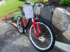 Specialized Mountain bike