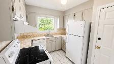 3-Bedroom Bungalow | HUGE Backyard | 2 Parking Spots | $2400 - Photo 3