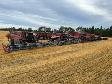 JTK Winny farms is hiring farm workers - Photo 3
