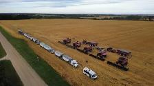 JTK Winny farms is hiring farm workers - Photo 6