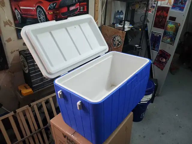 Camping cooler
