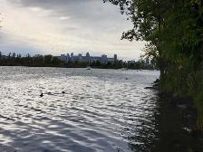 TOUT INCLUS, MEUBLÉ, Grand condo 3et1/2 830p.ca à louer, 1748$, - Photo 11