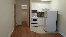 Fantastic Renovated Studio near metro Vendome for July