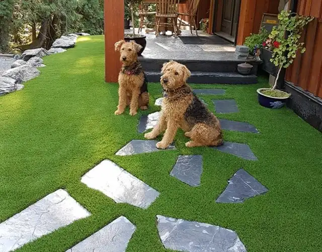 landscaping