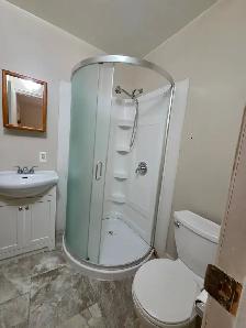 All Inclusive Fully Renovated Bachelor Apartment - Photo 5