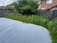 Grass cutting - Photo 2