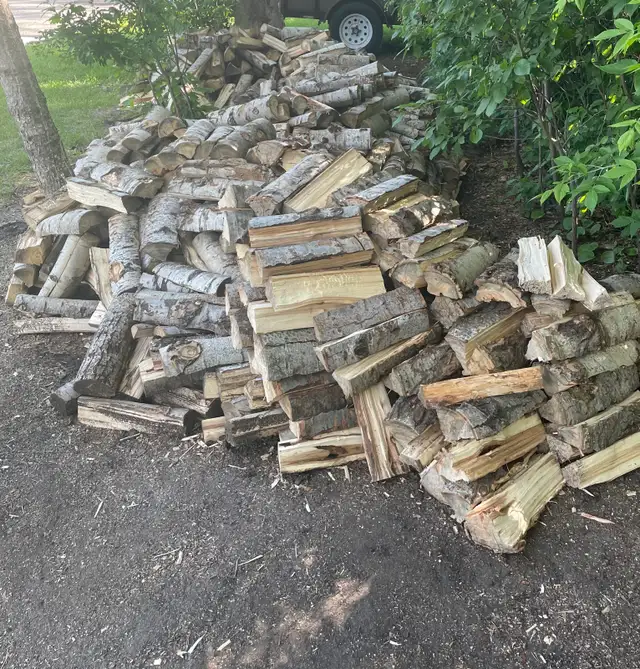 firewood