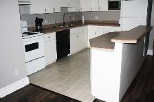 Beautiful fully furnished downtown condo available Aug 1, 2026 - Photo 4