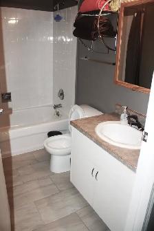 Beautiful fully furnished downtown condo available Aug 1, 2026 - Photo 5