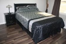 Beautiful fully furnished downtown condo available Aug 1, 2026 - Photo 6