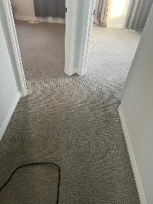 ✨ Carpet Shampoo & Steam Cleaning Services ✨ - Photo 6