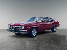 1974 Buick Apollo