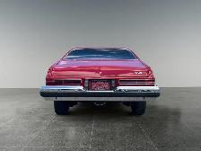 1974 Buick Apollo - Photo 5
