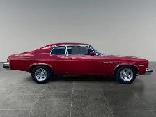 1974 Buick Apollo - Photo 8