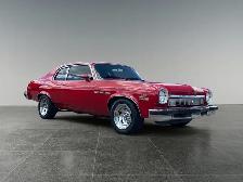 1974 Buick Apollo - Photo 9