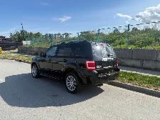 2009 Ford Escape 4WD Limited V6 AUTO A/C LEATHER NO ACCIDENTS - Photo 4