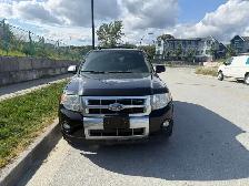 2009 Ford Escape 4WD Limited V6 AUTO A/C LEATHER NO ACCIDENTS - Photo 5
