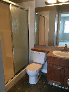 3 Bed 2.5 Bath Duplex/Double Attached Garage Available July 2nd! - Photo 7