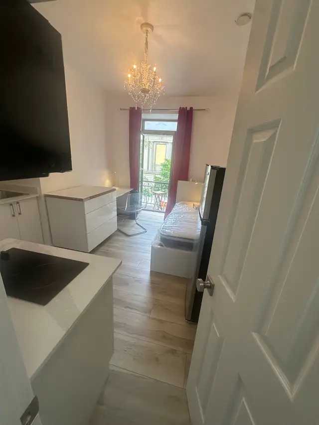 Furnished Studio w/Balcony - DOWNTOWN