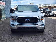 2022 Ford F-150 XL 4WD SuperCrew 5.5' Box - Photo 2