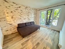 Rosemont superbe 3 1/2 Rénové à neuf! Delorimier et Dandurand!