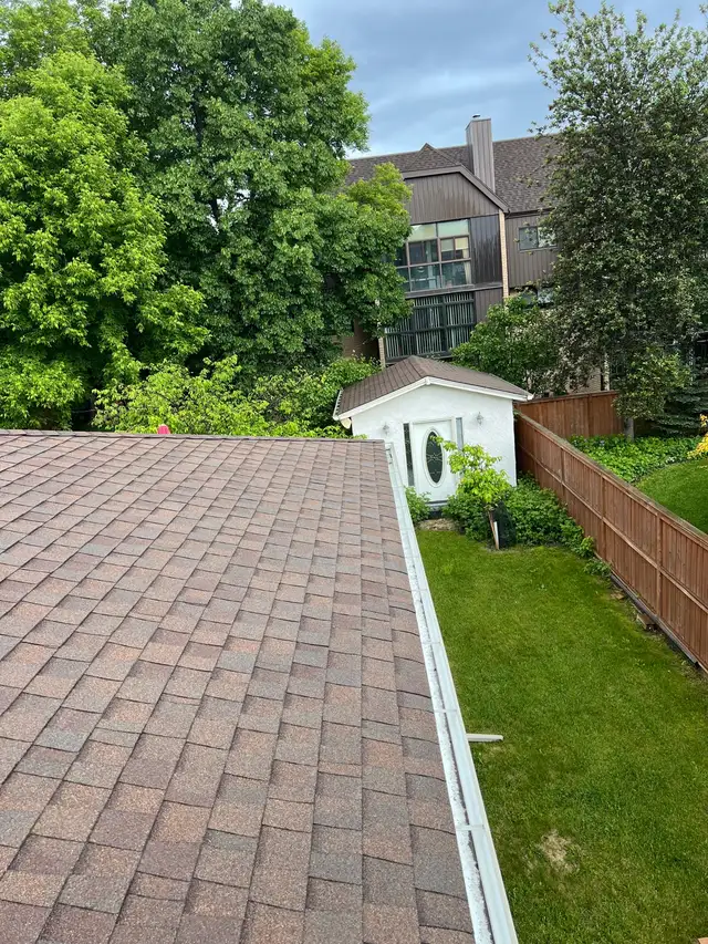 Professional gutter cleaning and roof repair!