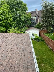 Professional gutter cleaning and roof repair!
