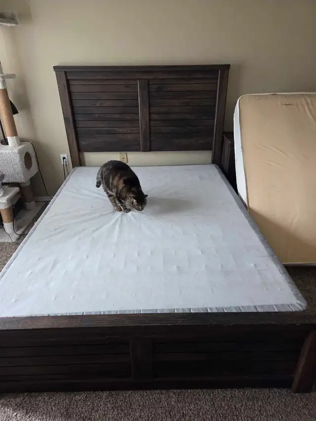 Queen size frame and box spring
