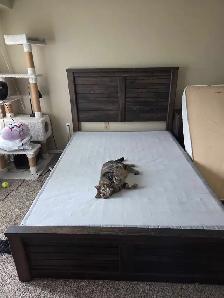 Queen size frame and box spring - Photo 2
