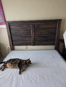 Queen size frame and box spring - Photo 3